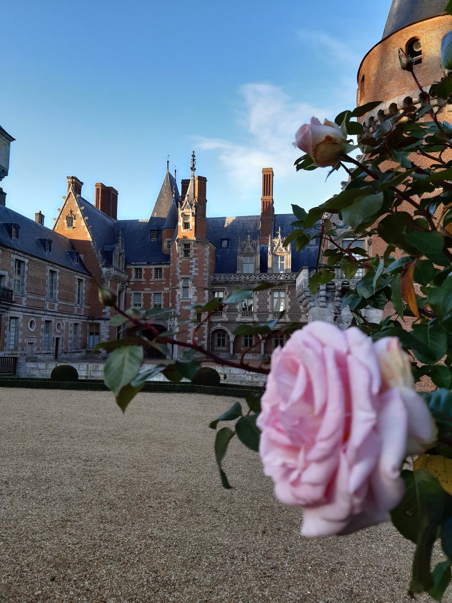 VeniseInLove's tweet photo. Rose floue et rose nette
#chateau #châteaudemaintenon #castle #nature #paysage #eureetloir #eureetloirtourisme #maintenon #automne #automne2020 #1km https://t.co/WaceLEce9d