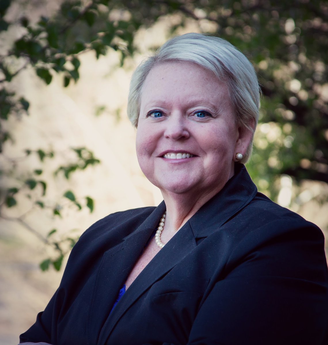 . @SullCoSchools is the Case Study in 'Leadership' – no surprise for anyone who knows  @robin_mcclellan!4/  #CurriculumPL