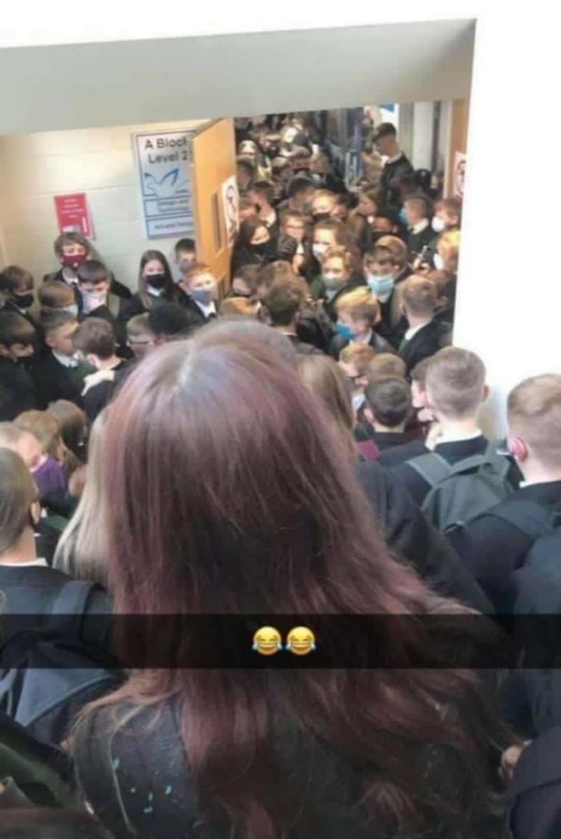 AidanTorbitt's tweet photo. Thank God the schools are open to stop the spread of covid https://t.co/imv2q1GGL7
