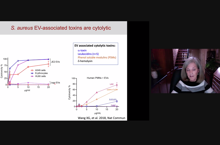 KennethWWitwer's tweet photo. EVs from S. aureus and their associated toxins can mediate cytotoxicity: Jean Lee #LEXS #ExtracellularVesicles https://t.co/8jyhvfi4t8