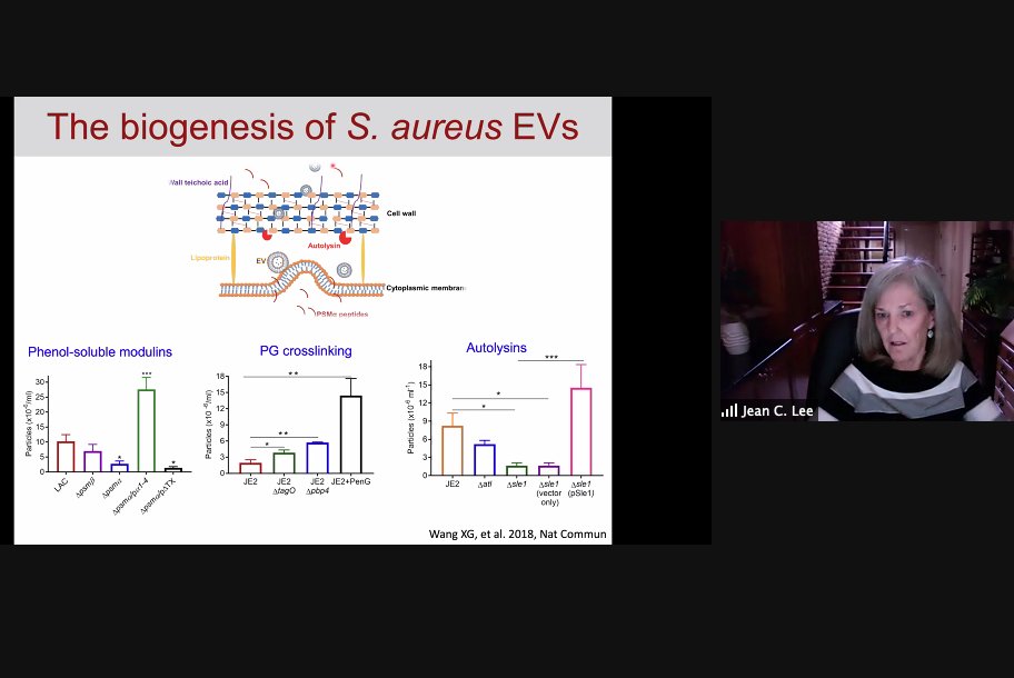 KennethWWitwer's tweet photo. How do #EVs get across the cell wall of Staph aureus? Jean C. Lee found important roles for phenol-soluble modulins and autolysins #LEXS https://t.co/8zJlqHlr66