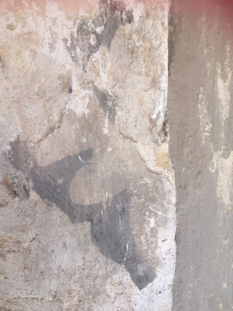 AdamKlups's tweet photo. Definitely the highlight of my day: we discovered a tiny remnant of a #wallpainting scheme at one of our South Glos #churches. Help friends - #medieval or #postReformation? @janet_berry @Conservators_uk @IIC_ @AustinNevin @johnevigar ? https://t.co/Sdd3yfBMXm