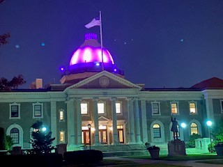 We lit the Theodore Roosevelt Executive and Legislative Building in Mineola purple last night, and through 11/25, in honor of #WorldPrematurityDay! Thank you @NassauExecutive and <a href="/PSEGLI/">PSEG Long Island</a> for shining a light on the crisis of preterm birth.