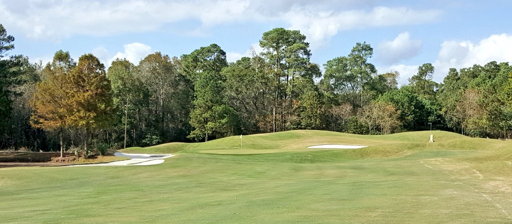 JohnnyCochranIV's tweet photo. Golf course is in great shape over at the #ForestCourse! https://t.co/D4JWraawZ0
