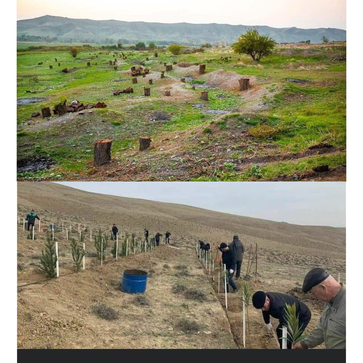 Feel the difference. 
First pic: Armenians cut trees on lands of Azerbaijan.  
Second pic: Azerbaijanis planting new trees.

We care about green environment! 
#ecologicalterror #ArmenianAggression #ArmenianVandalism #ArmenianWarCrimes