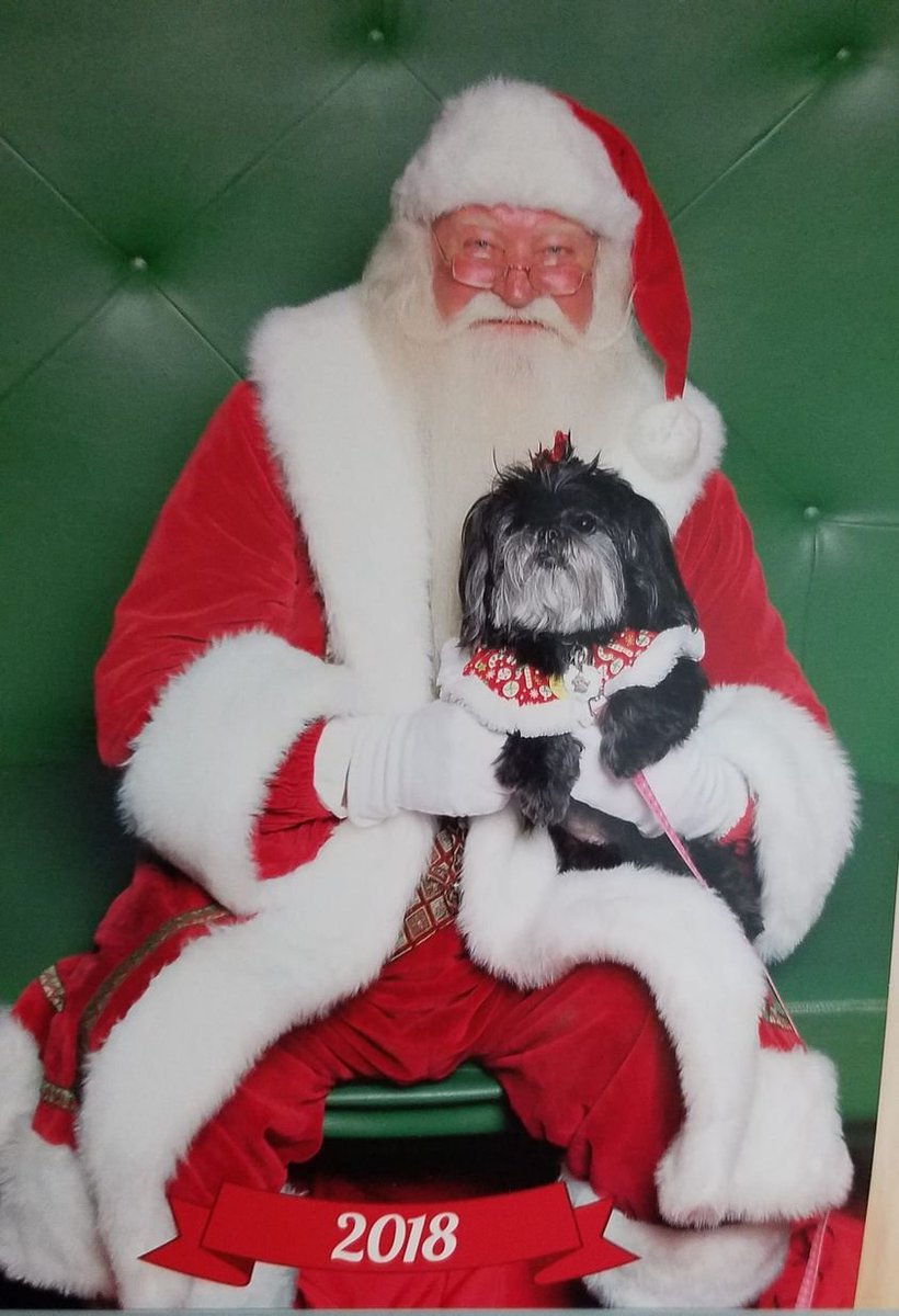 HooksHostMom's tweet image. Too much cuteness! #Christmas2018 #ParisNicole