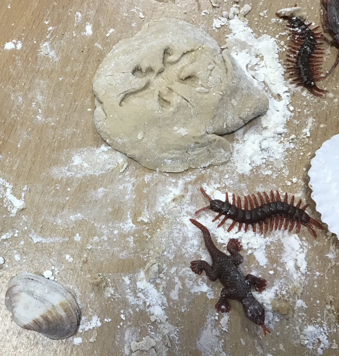 MissFWEvans's tweet photo. Day 39: today we got super messy and made our own fossils! #NQT https://t.co/uBfWDLAJgt