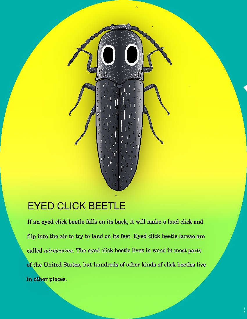 LG_inSTAR's tweet photo. Adding piece #3 from @EntsocAmerica's coloring pages: #Eyed #click #beetle!
#coleoptera #insect, #entomology #EntoColor #EntSoc20 #EntSoc2020 #eyedclickbeetle #illustration #color https://t.co/B5HssfaBEM