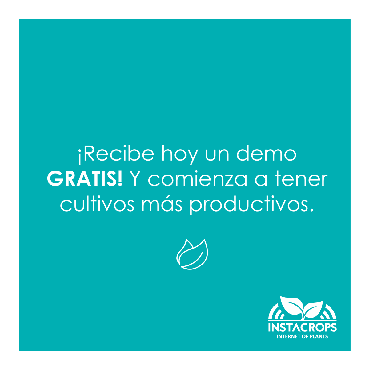 instacropscol's tweet photo. Instacrops quiere darte la oportunidad de que seas parte de esta nueva tecnología, accede a un DEMO GRATIS de 45 minutos. Llena el formato y no te quedes sin tu DEMO. 

https://t.co/WNMGslKWx5

¡Contáctanos!

#agricultura #tecnología #internetofplants #spreadingtheseed https://t.co/JTqzzyzTzt
