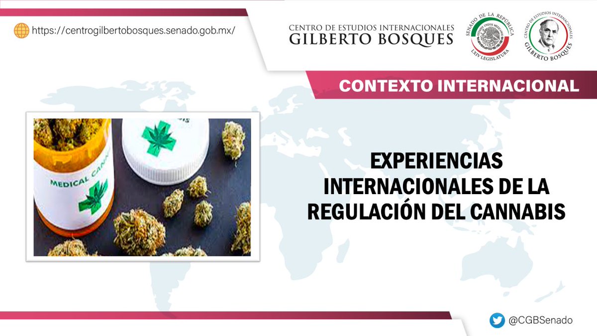 senadomexicano's tweet photo. En el marco del análisis de la regulación de cannabis en México, @CGBSenado te comparte un estudio sobre las experiencias internacionales de su uso, consumo y cultivo. 
Encuéntralo en: https://t.co/YrXqo0UFtA https://t.co/h7fv1poNdW