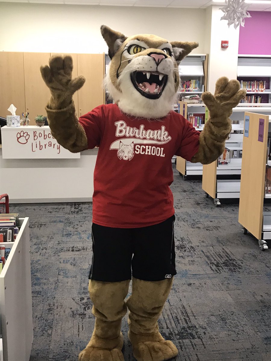 Courtney Kwiatkowski tweet media