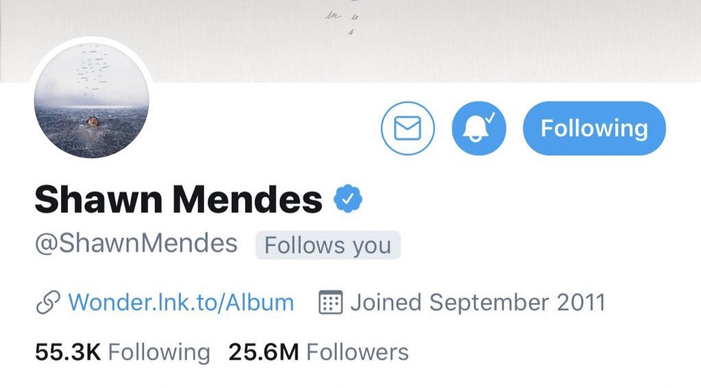 bippitycabello's tweet image. .@ShawnMendes please follow everyone who retweets and replies with #Monster