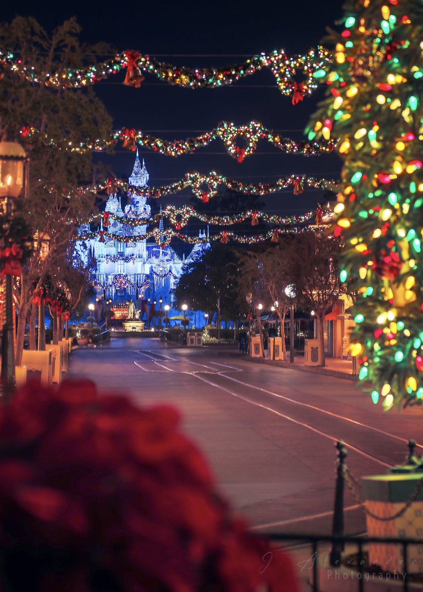 joseph 📸 tweet media