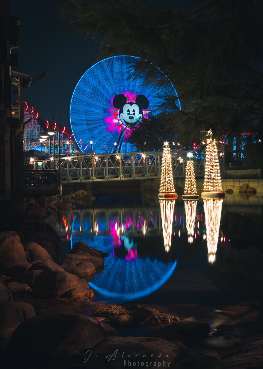 joseph 📸 tweet media