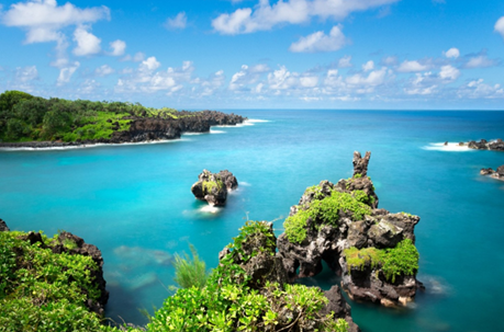 Air Canada sample image