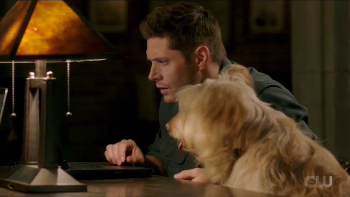 itsmasonjarr's tweet photo. Look at him! so happy to have his doggie.🥺🖤
#Supernatural  #SupernaturalFinale https://t.co/KjvnAhFPot