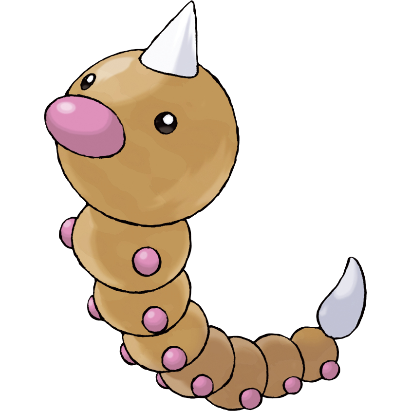 LimitedPokeFact's tweet photo. Weedle was the inspiration for the naming of Stentorceps weedlei, a species of wasps. Both Weedle and Stentorceps weedlei exhibit the distinctive feature of having a spine in the middle of the organism's head https://t.co/t14NckvBoe