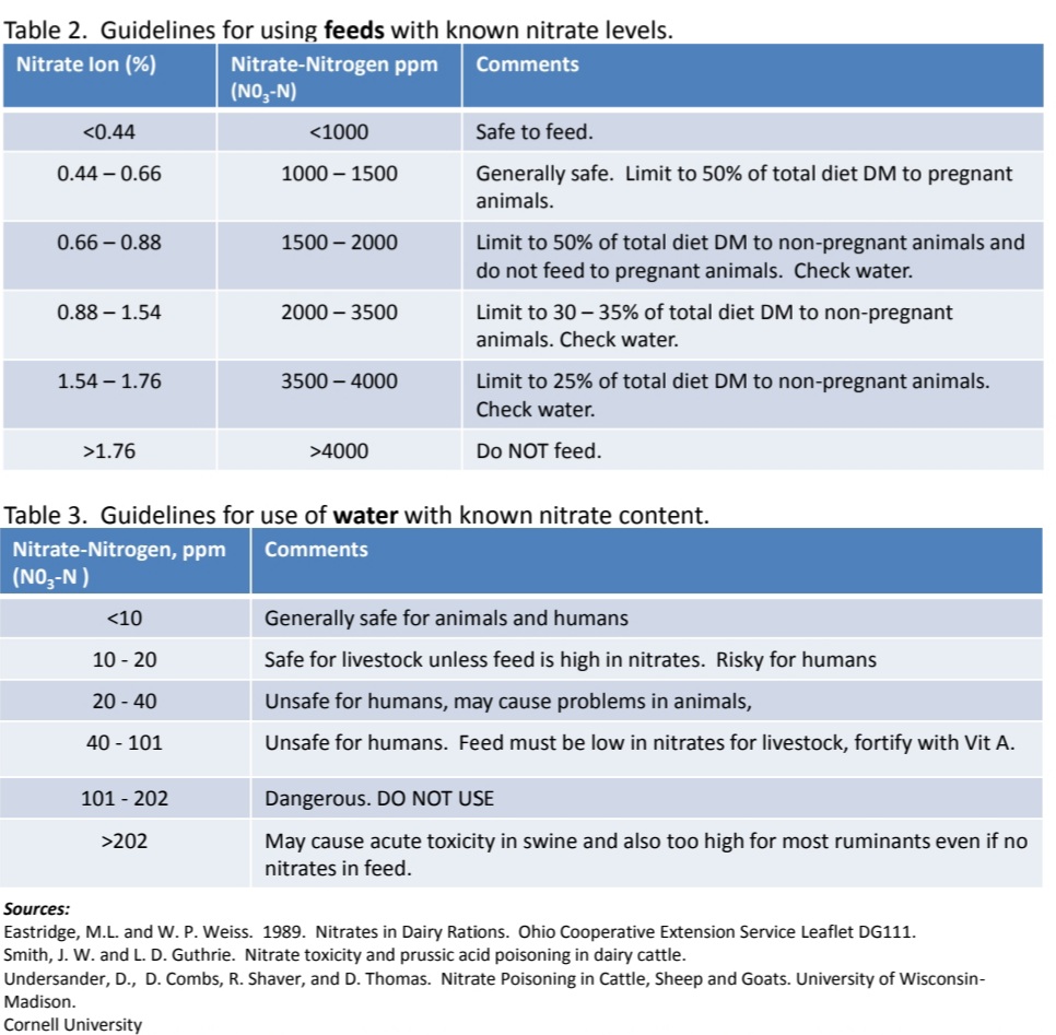 MikaylaMorden's tweet photo. #MiksModules : Nitrates!
Seems to be a hot topic around this time of year. If you notice some funky things happening in a new bunk of silage, there's potential it contains nitrates, especially if fresh. See below for recommended levels that are safe. #DairyNutrition #Nitrates https://t.co/C2F9ovFUOH