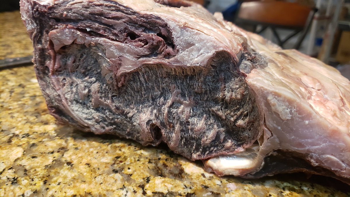 🐮MadMeats Experiment: 69 Day dry-aged meat experiment. The ribeye prime block that I put into my "Meat Crisper" felt like a rock, looked like a rock, and was as hard as a rock, but when I finally cut into it, there were some really nice dry aged meat steaks hiding inside!