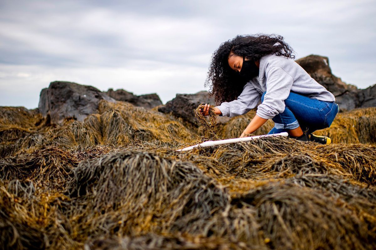AlumniNU's tweet image. .@NortheasternCOS student Jeriyla Kamau-Weng studies zebrafish, participates in the #BlackInSTEM movement on Twitter, &amp;amp; is in the mist of launching a peer-mentoring program for Marine and Environmental Sciences students bit.ly/2EXkkQU #NUexperience @JeriylaKamaWeng