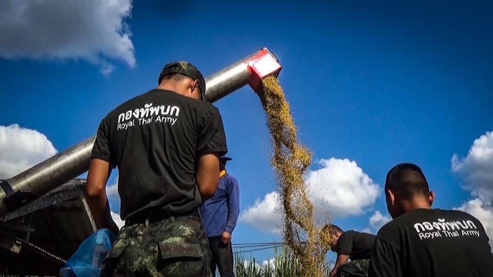 armypr_news's tweet image. กองพันทหารราบที่ 2 กรมทหารราบที่ 8 
เปิดค่ายแบ่งพื้นที่ช่วยเกษตรกรชาวนา ตากข้าว
เป็นการชั่วคราว ให้เกษตรกรชาวนาใช้พื้นที่ภายในหน่วยได้ตากข้าวเปลือกที่เก็บเกี่ยวผลผลิต เพื่อสามารถนำข้าวเปลือกที่มีคุณภาพไปจำหน่ายให้มีคุณภาพ
#เป็นที่พึ่งของประชาชนในทุกโอกาส
#กองทัพบก