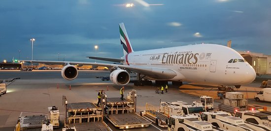 AerospaceMexico's tweet photo. Emirates SkyCargo ha comenzado a utilizar el Airbus A380 en operaciones selectas de carga para transportar lo que se necesita con urgencia en su red. El primer "mini-freighter" transportó con éxito suministros médicos entre Seúl y Ámsterdam vía Dubái.
https://t.co/k2KT0swoS4 https://t.co/qD6HNVYkQk