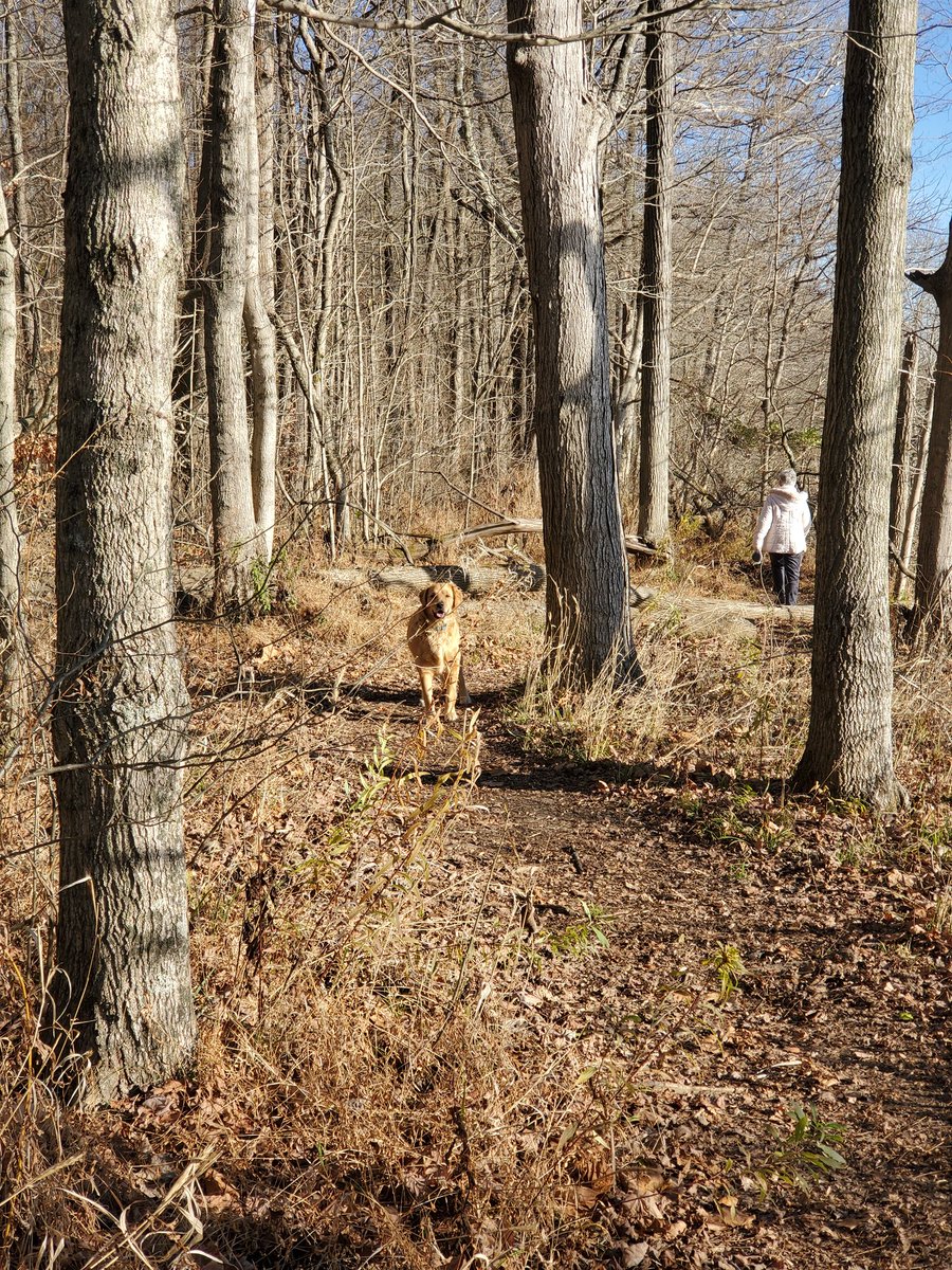 We stopped at Charlestown state park in Indiana, since it was right around the corner from our hotel. We did an hour hike, up steep hills, and tired Kody out before the 6 hour drive to Newport!! This bridge was pretty cool. A beautiful park!