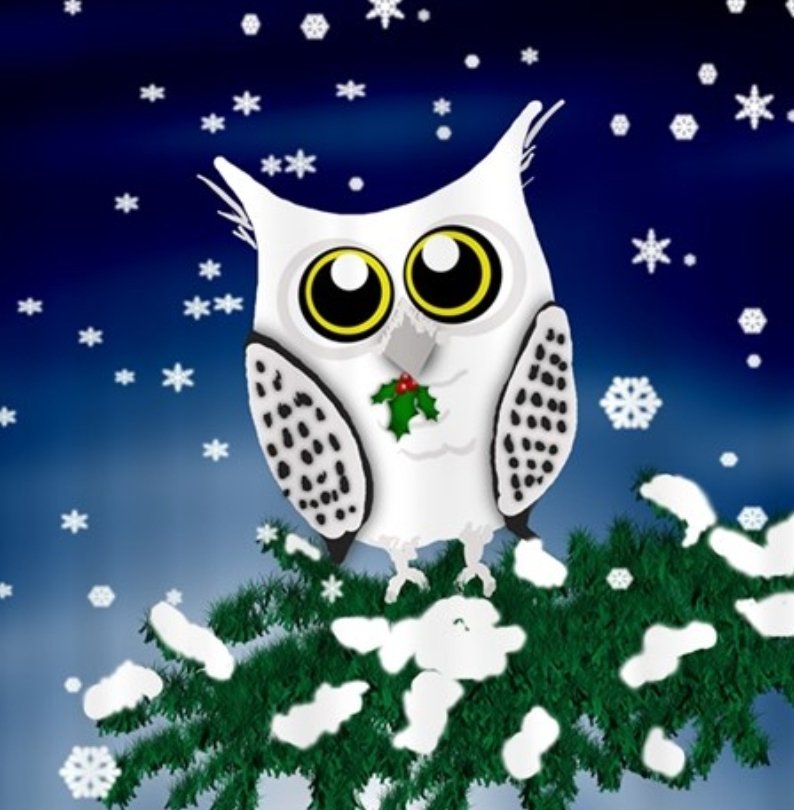 OWcheerboosters's tweet photo. OWL COMMUNITY! ONLINE SPIRIT WEAR STORE IS OPEN until December 2nd! 

 https://t.co/Ebwbwa5ljv https://t.co/A8olS0DHh2