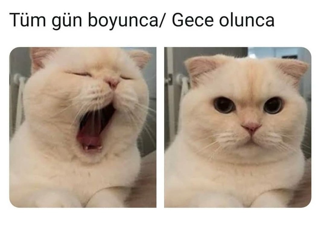 Yeminle ben🤦‍♀️