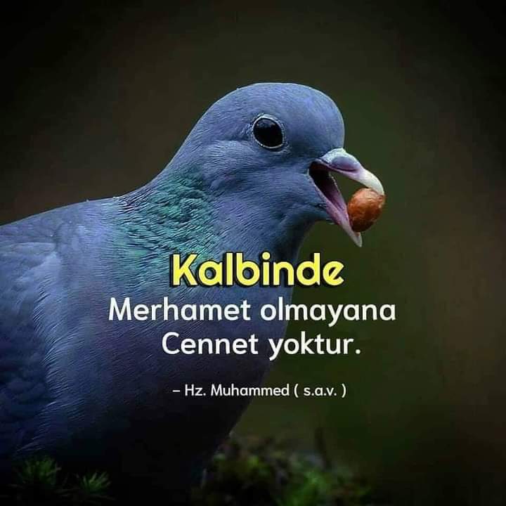 Fatma Zehra (@ffatmazzehraa) on Twitter photo 