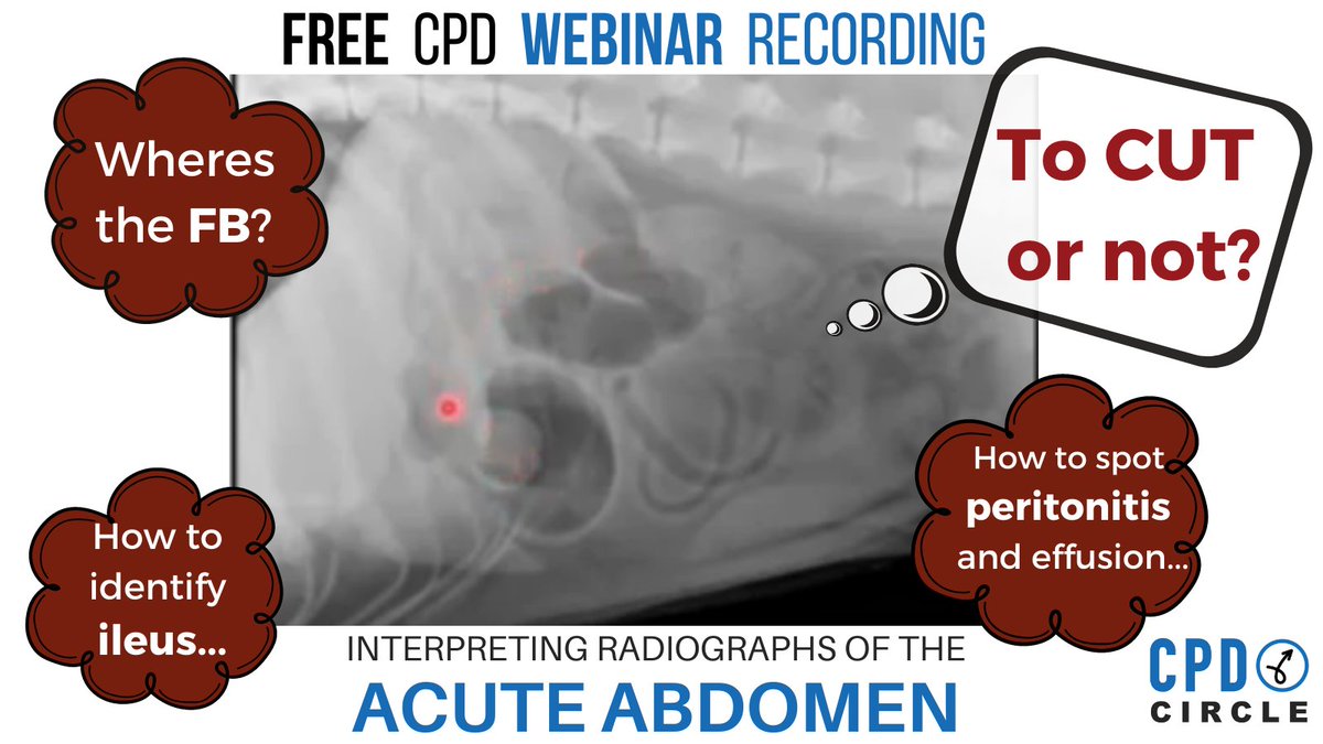 Free Webinar Recording from London Vet Specialists:  Interpreting radiographs of patients showing signs of acute abdomen problems... 

cpdcircle.co.uk/radiography-ac…

#vetmed #planetRVN #veterinary