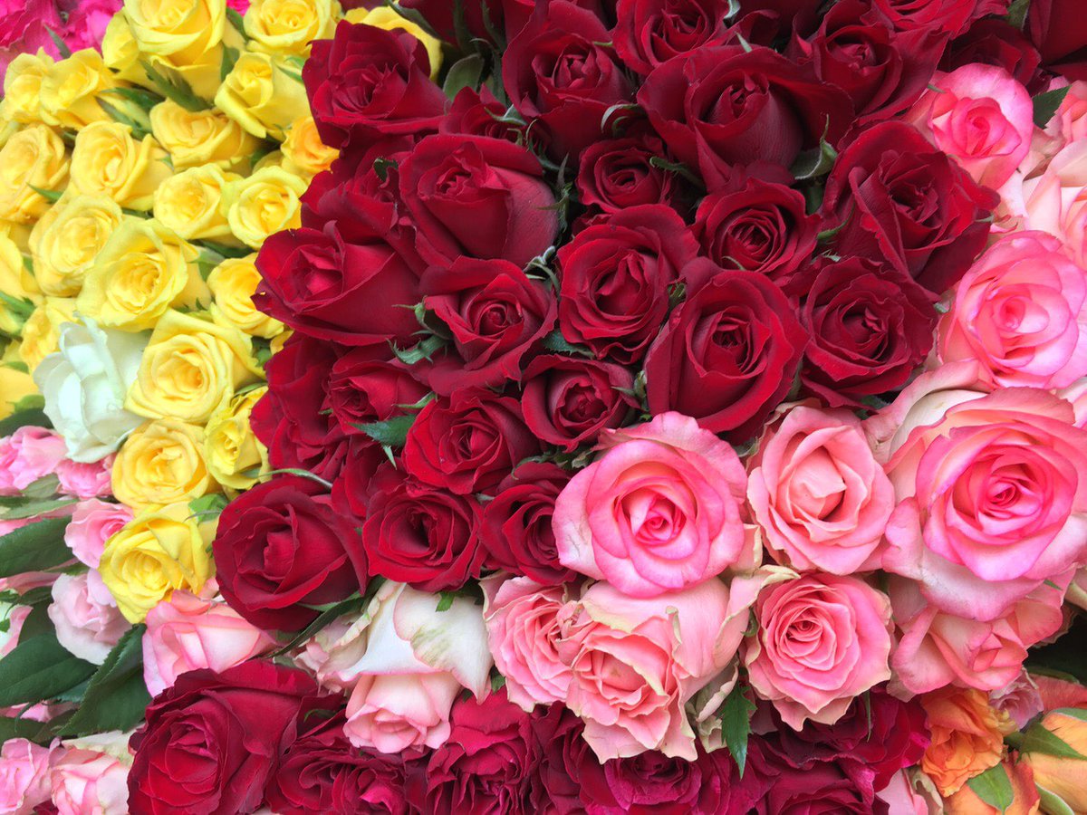 薔薇しかない花屋neo