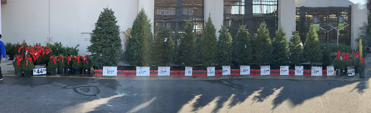 Cynthia Carreiro (@ckcarreiro) on Twitter photo Up and running just love this time of the year 🎄<a href="/SHIRLEYBARAONA/">SHIRLEY BARAHONA</a> @AmanandaLeflore <a href="/likevike/">pac central region</a> Up and running just love this time of the year 🎄<a href="/SHIRLEYBARAONA/">SHIRLEY BARAHONA</a> @AmanandaLeflore <a href="/likevike/">pac central region</a>