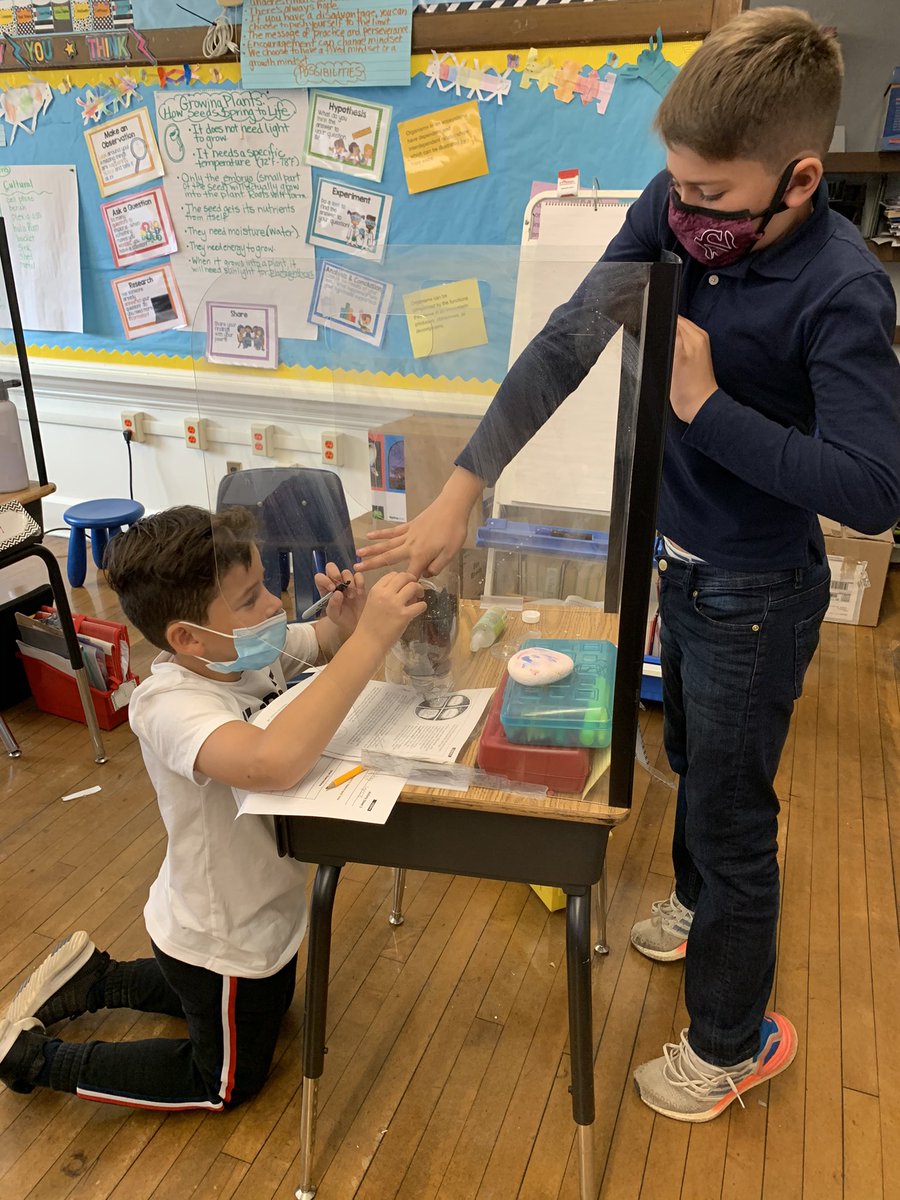 DebNovick's tweet image. Making terrariums to explore ecosystems hands-on! #realworld #thinkers #observers