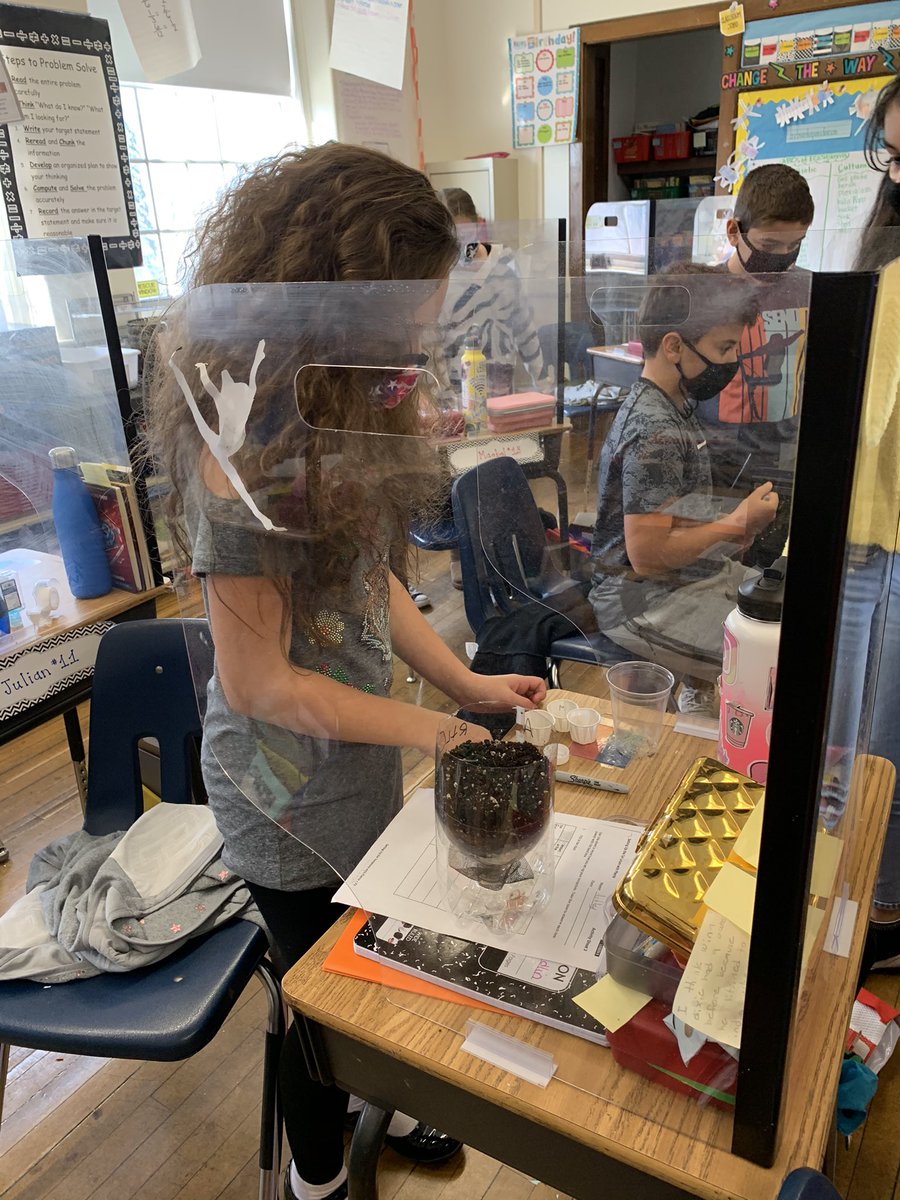 DebNovick's tweet image. Making terrariums to explore ecosystems hands-on! #realworld #thinkers #observers