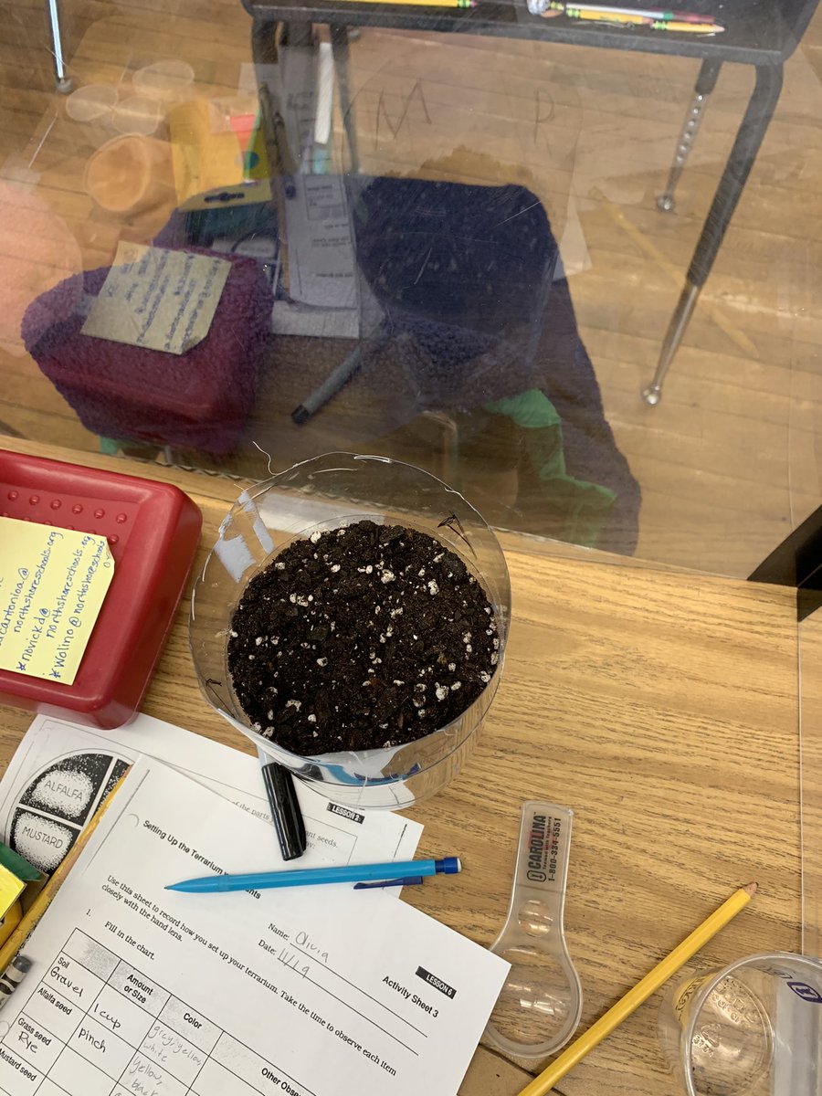 DebNovick's tweet image. Making terrariums to explore ecosystems hands-on! #realworld #thinkers #observers