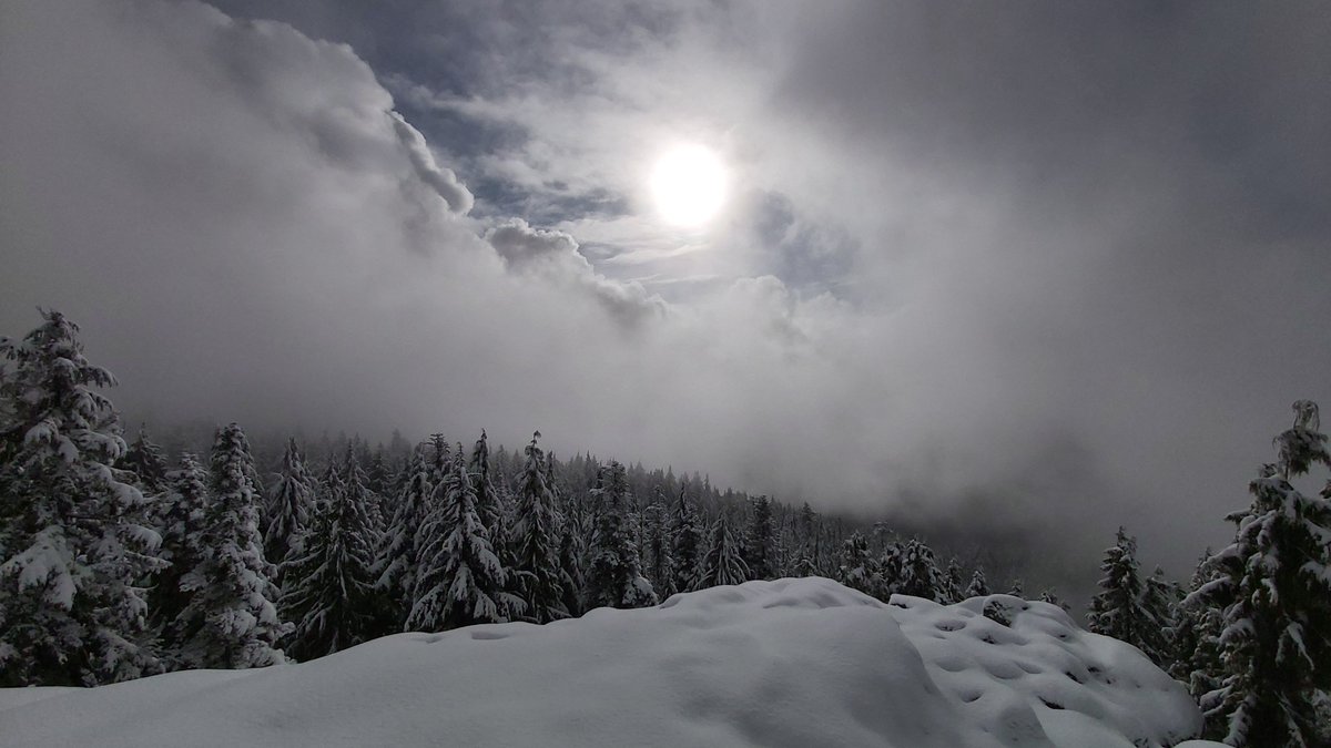 #beautifulbritishcolumbia #mountseymour #hiking