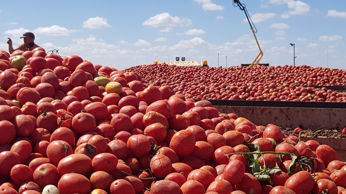 Nat_Irrigators's tweet photo. Great to celebrate the $16.5 billion worth of food &amp; fibre grown by our #irrigators this #AgDayAU https://t.co/tDnvDipom5