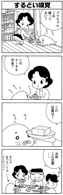 「するどい嗅覚」
鼻がとっても鋭いゴマちゃん。
食べ物が腐ってるかどうか、すぐにわかるんですが・・・。

#毎朝ゴマちゃん
#少年アシベ 