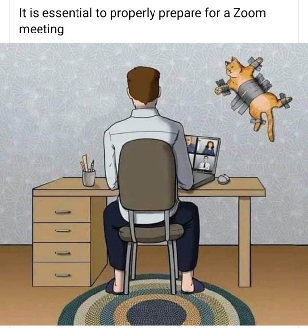 deniswirtz's tweet photo. Zoom humor https://t.co/8wTtTUbZ23