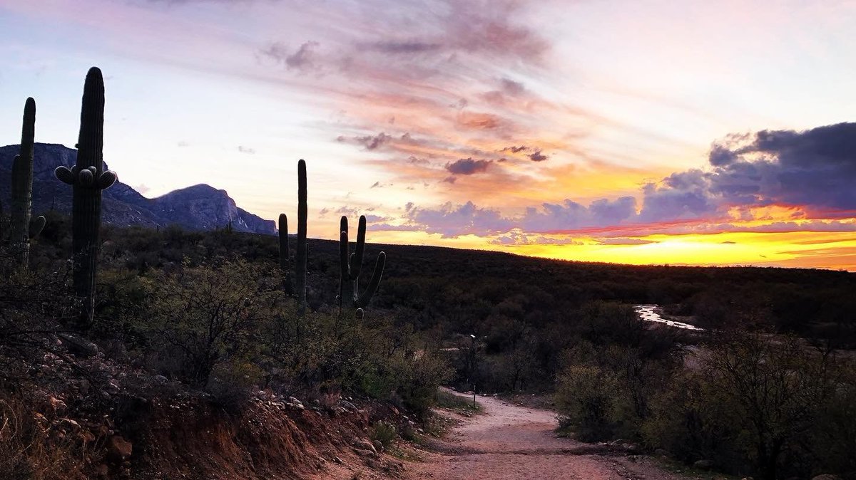 AZ's sunsets are the most spectacular, all glowing horizons and color splashed across skies, illuminating the desert in a wash of gold! ✨ bit.ly/2ACQnDp

📸 : @|davila_travelzz