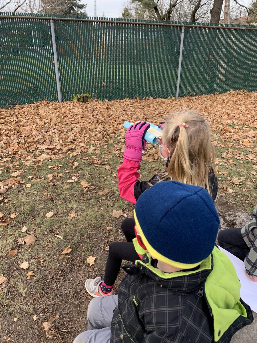 Kindergarten Room 14 tweet media