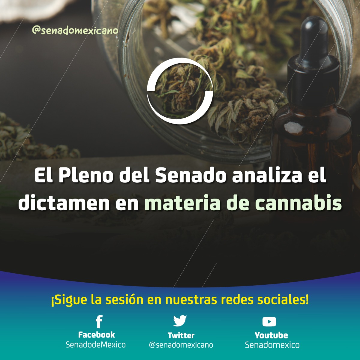 ✅ Con 82 votos a favor, 18 en contra y 7 abstenciones, se aprueba en lo general y los artículos no reservados del dictamen que regula el uso del #CannabisLegal.