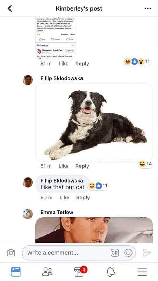 This is still the best thing I have ever seen on Facebook 🤣🤣