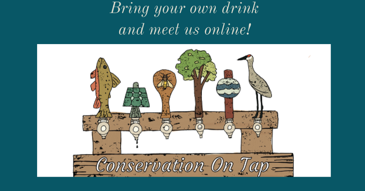 WisConBio's tweet photo. Hey @Society4ConBio, we're hosting a virtual Conservation on Tap starting in 5 minutes to learn about how to get outdoors and enjoy Wisconsin. Wanna join us? https://t.co/7iiDezRB4g https://t.co/o00xVvYKAW