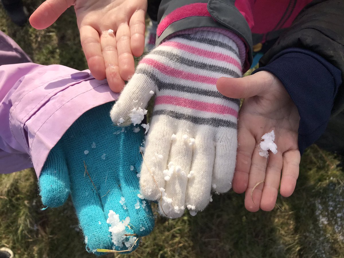 ms_stevenson_nl's tweet photo. Snowfall wonders! Ss were so inquisitive today...why are the flakes like little snowballs? Why is there more snow in some places than others? Why is there so much snow in the bird nest? And lastly, are we ready for winter?!? #seasonschange #winterclothes #roseycheeks https://t.co/7zDNq2d1UD