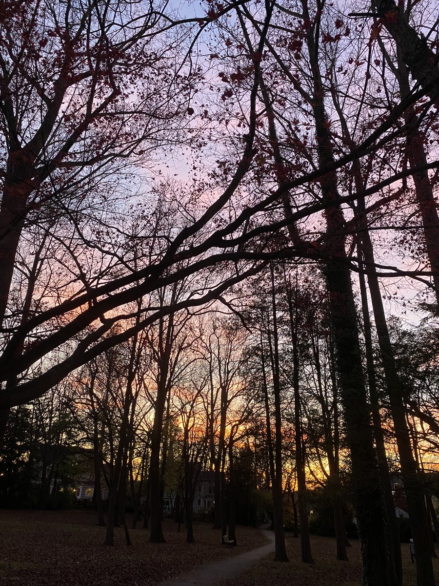 Sunset in the neighborhood park! Making a conscious effort to get outside everyday even if it’s only for a little bit!