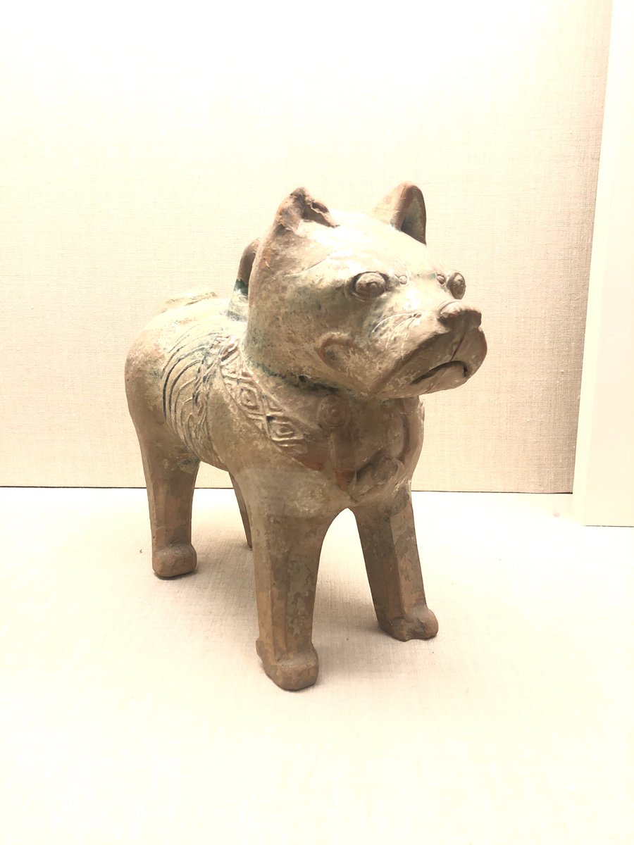 qo2205's tweet photo. Found this little guy who made me think of my own dogs at home, makes me a bit homesick but still happy to be at @EmersonCollege #WritingStudies02 https://t.co/ULpPXyRbhS