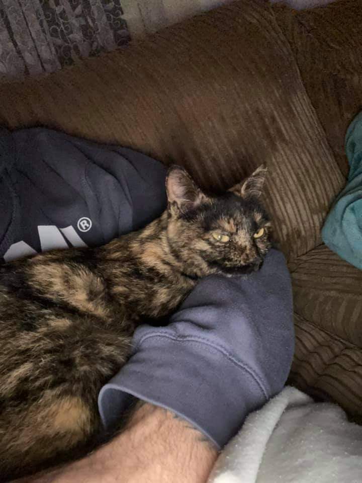 FnFWythall's tweet photo. Our newest Romanian girl Cassie settling in well with her new Dad Gaz. Be happy together both 💕 https://t.co/K60rPoK1sO