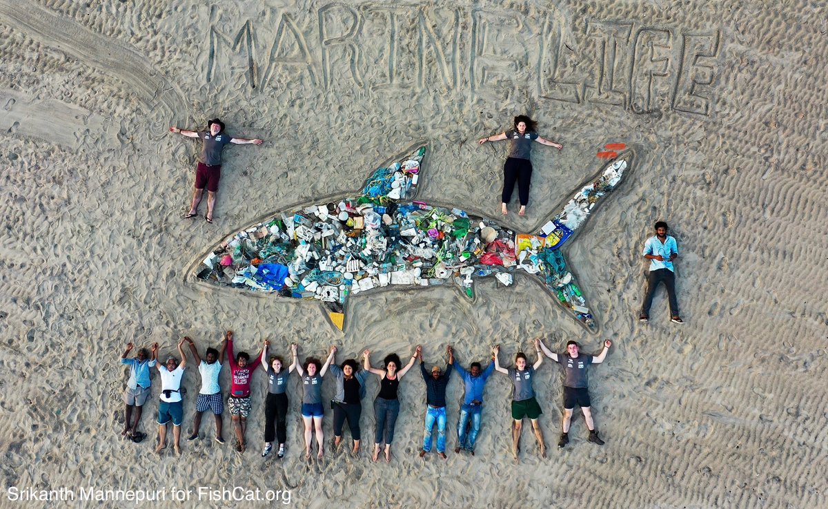 Repurposing human-generated waste into conservation messaging. Our next plan is to build structures that can stand the test of time 🐢🦈

Are you an architect interested in joining our team?

#Repurpose #CircularEconomy #Architecture